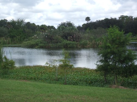 Forever Florida--Where Allen Played as a Young Lad