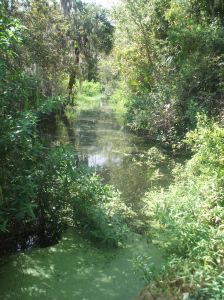 DSCF2884 Care For a Drink From Bull Creek?