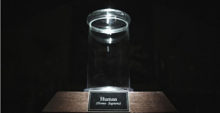 The Museum Awaits it's Final Mammal Specimen