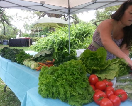 Saturday Morning Farmer's Market at the Enzian